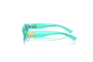 Zijaanzicht Dolce & Gabbana DX4005 (332280)