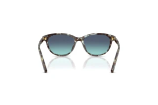 Achteraanzicht Dolce & Gabbana DX4010 (34434S)