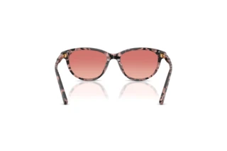 Achteraanzicht Dolce & Gabbana DX4010 (3476A5)