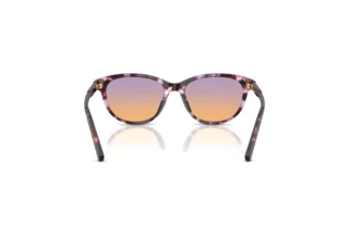 Achteraanzicht Dolce & Gabbana DX4010 (3477EL)