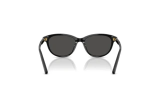 Achteraanzicht Dolce & Gabbana DX4010 (501/87)