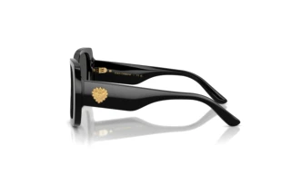 Zijaanzicht Dolce & Gabbana DX4012 (501/87)