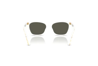Achteraanzicht Dolce & Gabbana DX4427 (34347P)