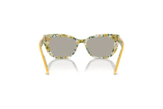 Achteraanzicht Dolce & Gabbana DX4427 (34437J)