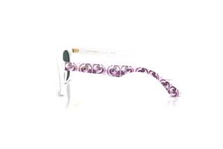 Zijaanzicht Dolce & Gabbana DX4427 (34595R)