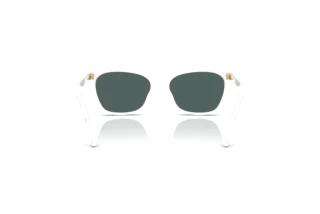 Achteraanzicht Dolce & Gabbana DX4427 (34595R)