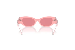 Achteraanzicht Dolce & Gabbana DX6003 (30987V)