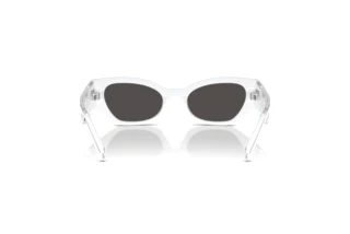 Achteraanzicht Dolce & Gabbana DX6003 (331287)