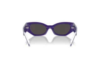 Achteraanzicht Dolce & Gabbana DX6003 (333587)