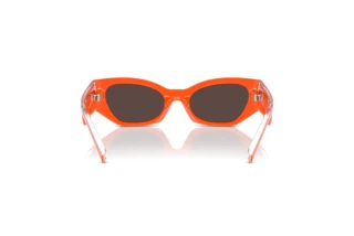 Achteraanzicht Dolce & Gabbana DX6003 (33386Q)
