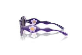 Zijaanzicht Dolce & Gabbana DX6005 (333587)