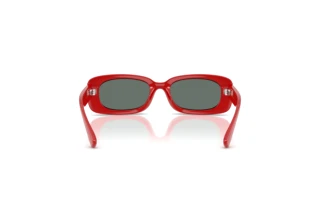 Achteraanzicht Dolce & Gabbana DX6006U (308825)