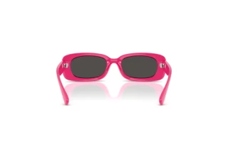 Achteraanzicht Dolce & Gabbana DX6006U (309887)