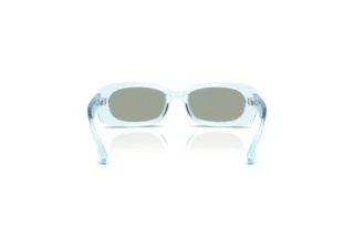 Achteraanzicht Dolce & Gabbana DX6006U (33466J)