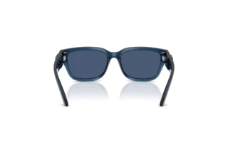 Achteraanzicht Dolce & Gabbana DX6009 (300980)