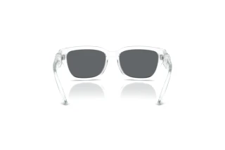 Achteraanzicht Dolce & Gabbana DX6009 (31336G)