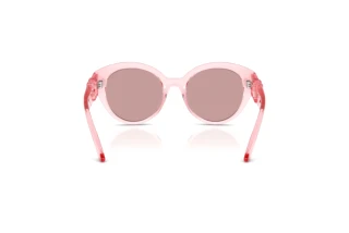 Achteraanzicht Dolce & Gabbana DX6010 (3098VS)