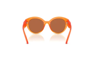 Achteraanzicht Dolce & Gabbana DX6010 (33887J)