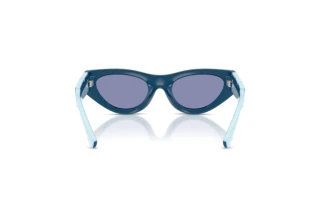 Achteraanzicht Dolce & Gabbana DX6012 (30151U)