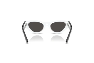 Achteraanzicht Dolce & Gabbana DX6012 (345787)