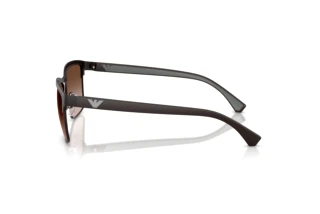 Zijaanzicht Emporio Armani EA2087 (339013)