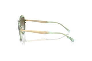 Zijaanzicht Emporio Armani EA2146 (33638E)