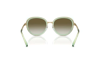 Achteraanzicht Emporio Armani EA2146 (33638E)