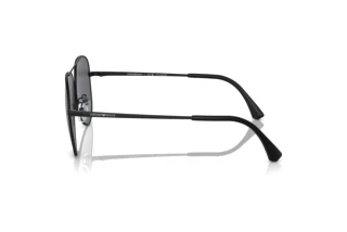 Zijaanzicht Emporio Armani EA2149D (300181)