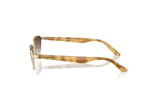 Zijaanzicht Emporio Armani EA2153 (301313)