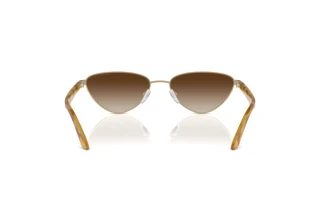 Achteraanzicht Emporio Armani EA2153 (301313)