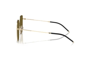 Zijaanzicht Emporio Armani EA2159D (301373)