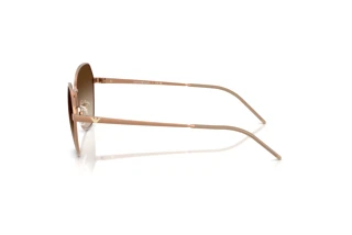 Zijaanzicht Emporio Armani EA2161 (340013)