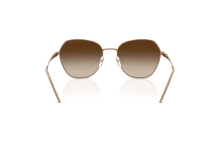 Achteraanzicht Emporio Armani EA2161 (340013)
