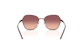 Achteraanzicht Emporio Armani EA2161 (34018D)