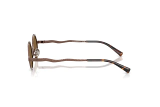 Zijaanzicht Emporio Armani EA2166 (300473)