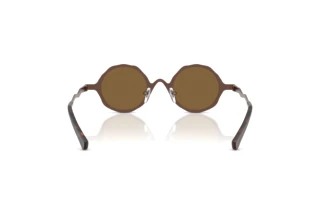 Achteraanzicht Emporio Armani EA2166 (300473)