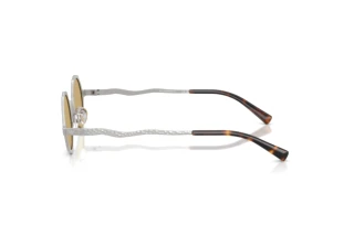 Zijaanzicht Emporio Armani EA2166 (3015/2)