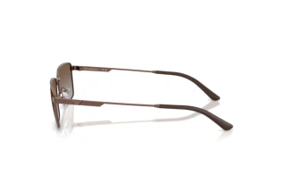 Zijaanzicht Emporio Armani EA2169 (300689)