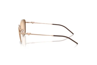 Zijaanzicht Emporio Armani EA2170 (301113)