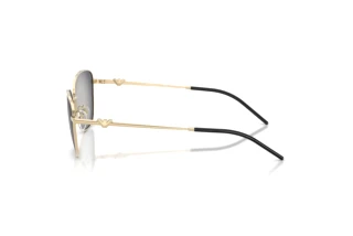 Zijaanzicht Emporio Armani EA2170 (30138G)