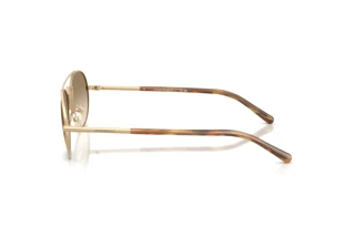 Zijaanzicht Emporio Armani EA2171 (300213)