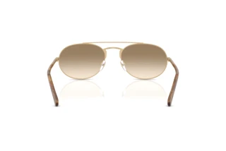 Achteraanzicht Emporio Armani EA2171 (300213)