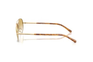 Zijaanzicht Emporio Armani EA2171 (30022Q)