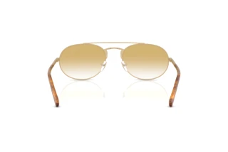 Achteraanzicht Emporio Armani EA2171 (30022Q)