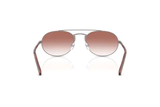 Achteraanzicht Emporio Armani EA2171 (30038D)