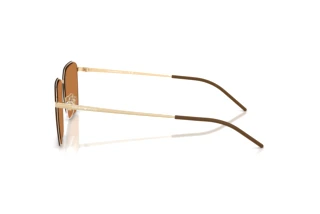Zijaanzicht Emporio Armani EA2172D (301373)