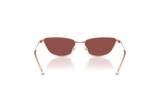 Achteraanzicht Emporio Armani EA2174B (301175)