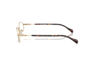 Zijaanzicht Emporio Armani EA2175 (30021W)