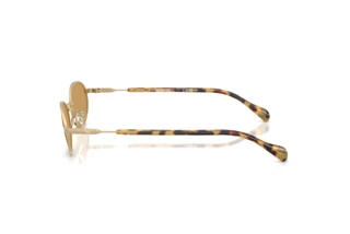 Zijaanzicht Emporio Armani EA2175 (300273)