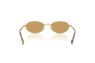 Achteraanzicht Emporio Armani EA2175 (300273)